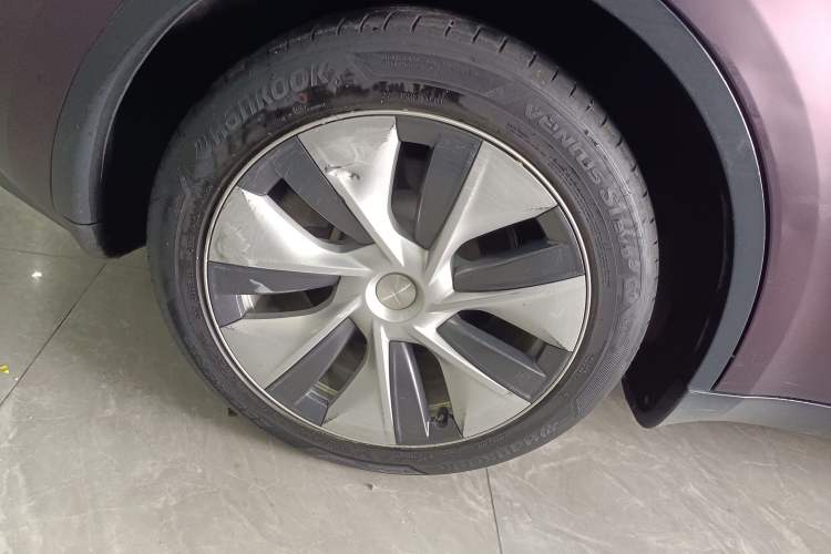 Used Tesla Model Y 2021 Standard Range Rear-Wheel Drive Version
