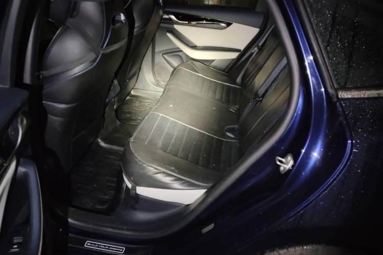 Used BYD Qin PLUS 2023 Champion Edition DM-i 55KM Leading Model Left Rear Seat