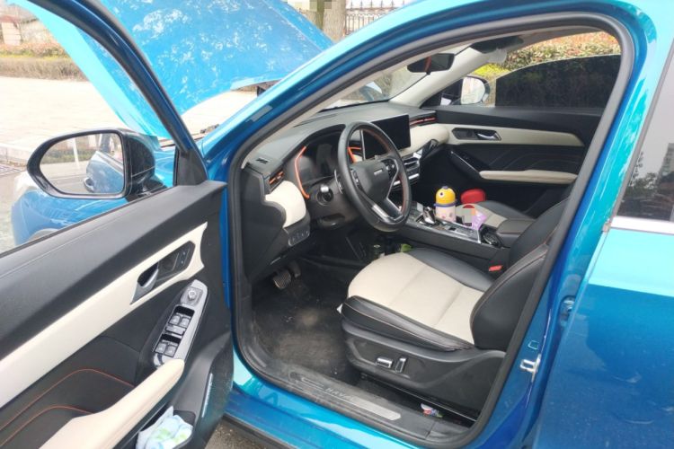 Used Haval LHERY 2021 High-Performance Version 1.5T Golden Rabbit