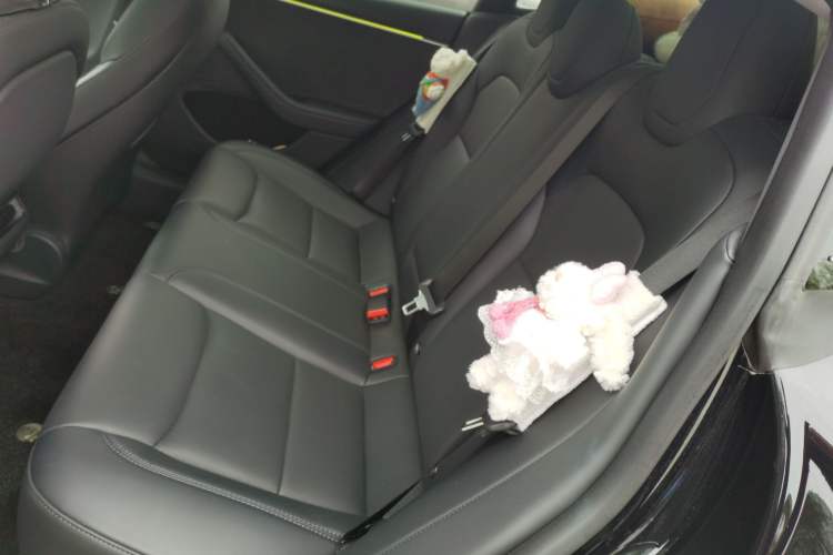 Used Tesla Model 3 2023 Long-Range All-Wheel-Drive Version Left Rear Seat