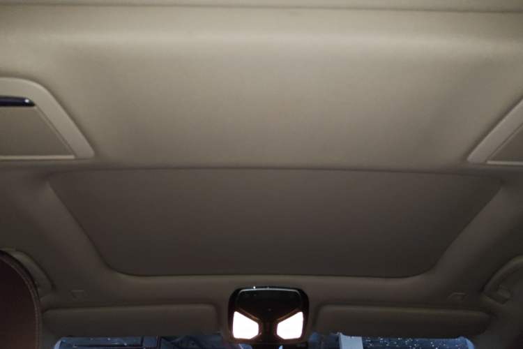 Used BMW 7 Series 2016 730Li Leading Model Headliner