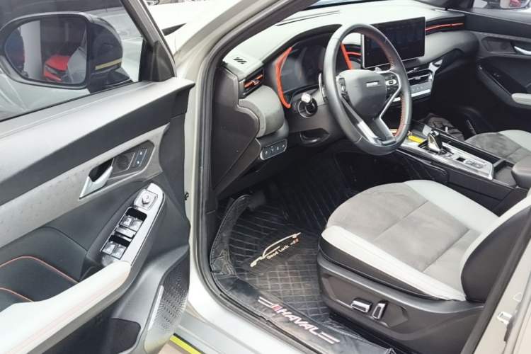 Used Haval LHERY 2021 High-Performance Version 1.5T Golden Rabbit

