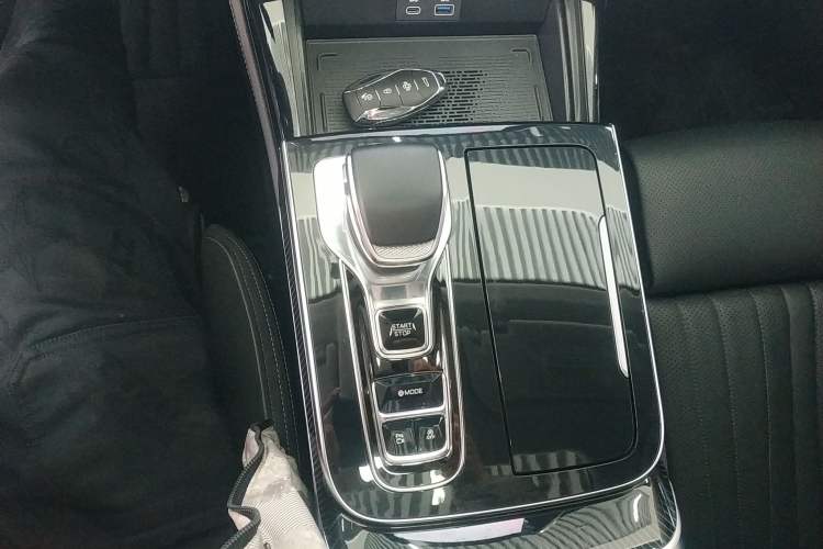 Used Hongqi H9 2024 2.0T Qixiang Private Style Edition