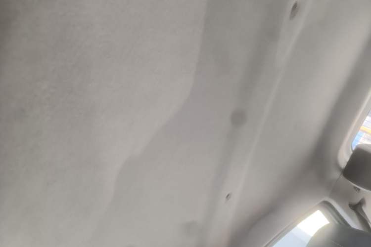 Used SOL E10X 2022 Flower Fairy Design Four-Leaf Clover