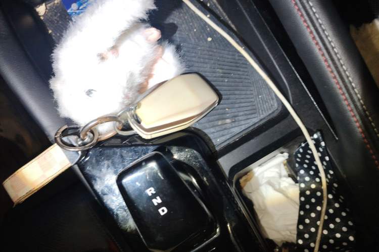 Used Geely Auto Coolray 2022 Bin Yue COOL 1.5TD DCT Hot Engine Edition