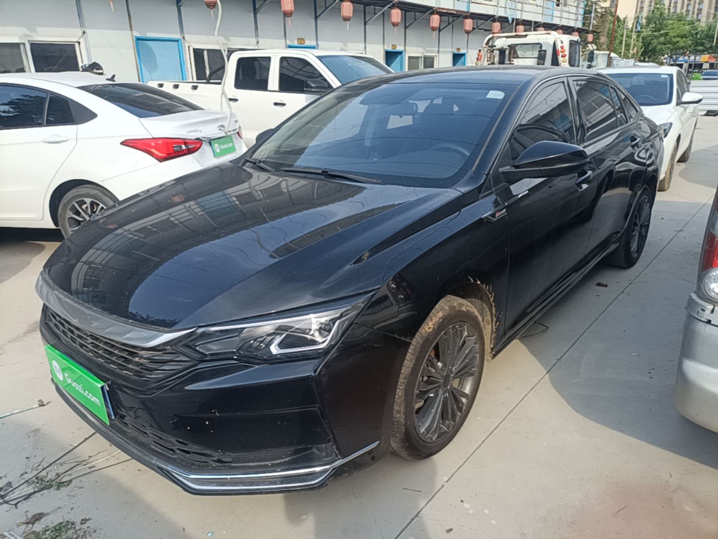 Under Front Bumper