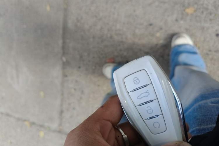 Used Qiyuan A07 2025 Range-Extended "True Fragrant" Edition 230 Premium Version