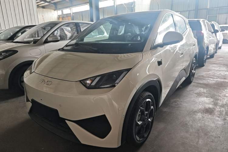 Used BYD Seagull 2025 Smart Drive Version 305 km Freedom Edition
