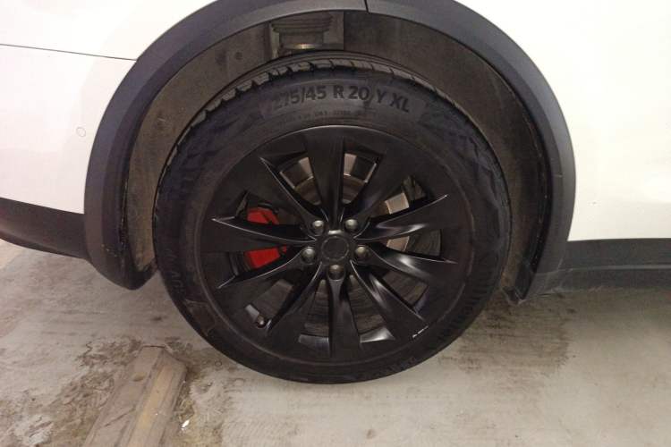 Used Tesla Model X 2017 X 100D Long Range Edition Exterior 5