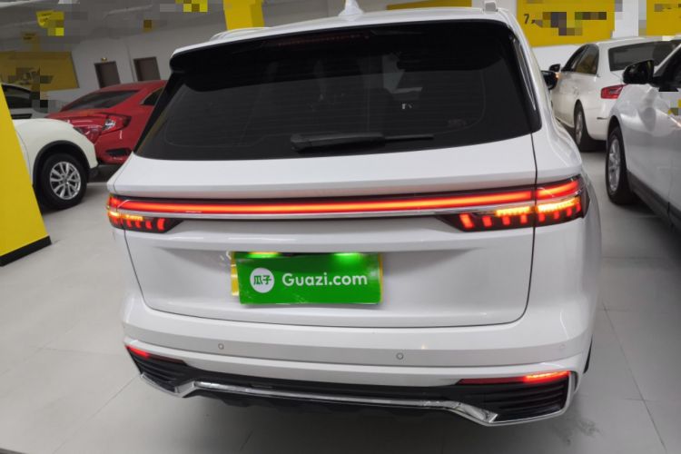 Used Geely Auto Monjaro L 2021 2.0TD DCT EVO Two-Wheel Drive Prestige Version Rear