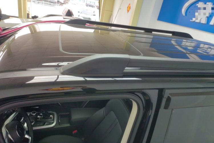 Used Tank 300 2024 2.0T Conqueror