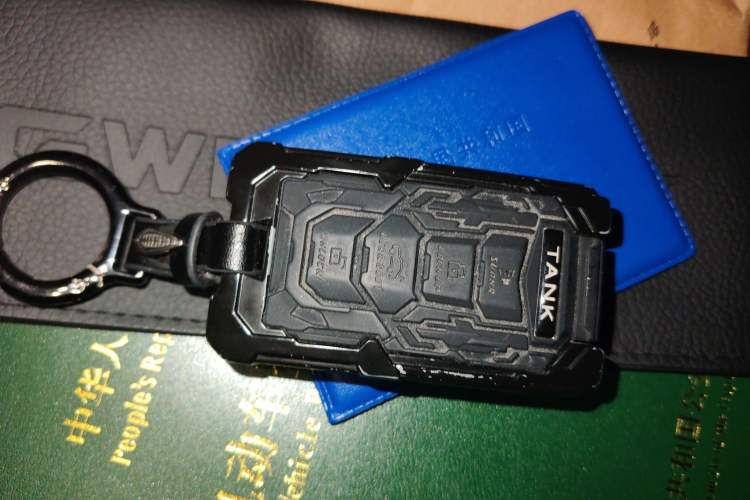 Used Tank 300 2025 2.0T Conqueror
