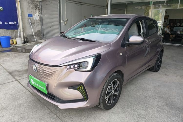 Used CHANGAN Benni E-Star 2020 Xinyue Edition Lithium-NMC