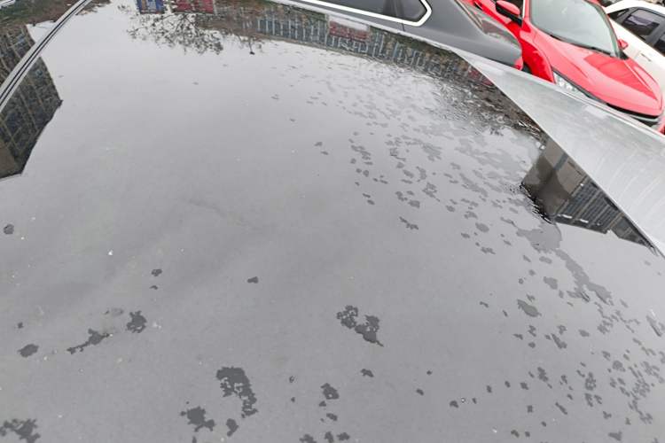 Used Volkswagen Golf 2021 280TSI DSG R-Line