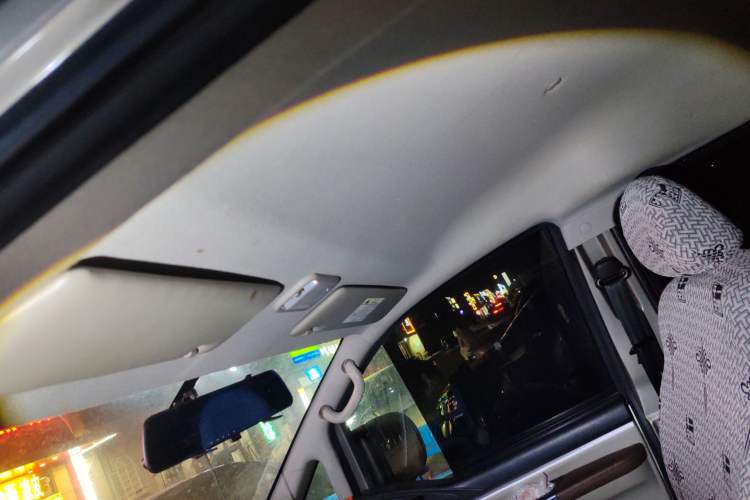 Used FORTHING Lingzhi 2020 M5 1.6L Practical Model
