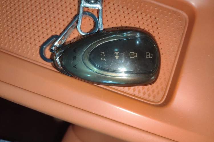 Used Wey Lanshan 2023 Four-Wheel Drive Ultra-Long Range Version