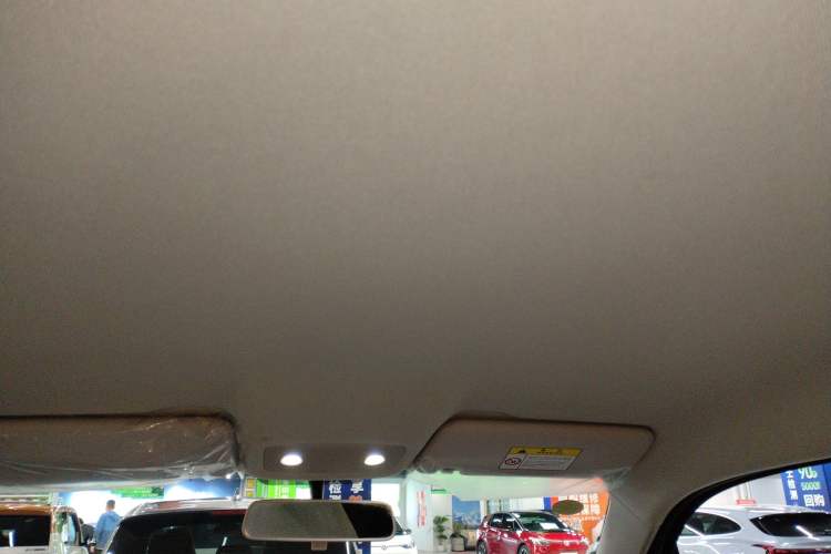 Used Leapmotor T03 2022 Agate Edition Headliner