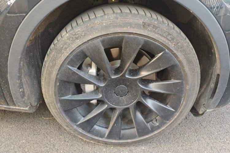 Used Tesla Model Y 2021 Standard Range Rear-Wheel Drive Version
