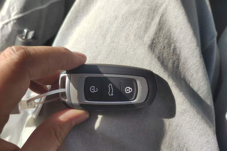 Used Geely Galaxy Panda 2024 Panda Mini 200km Endurance Bear
