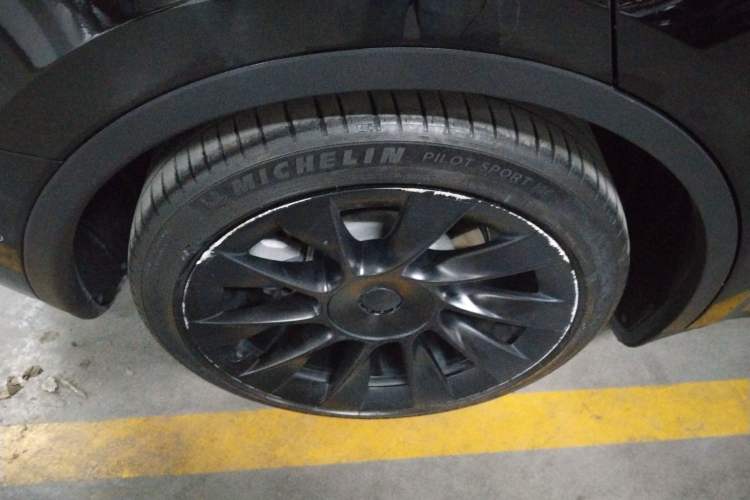 Used Tesla Model Y 2021 Standard Range Rear-Wheel Drive Version
