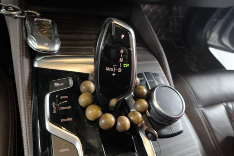 Used BMW 5 Series New Energy 2019 530Le Luxury Package
