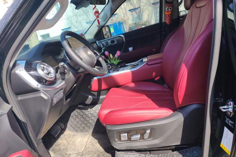 Used Tank 400 New Energy 2024 Hi4-T City Edition Left Front Seat