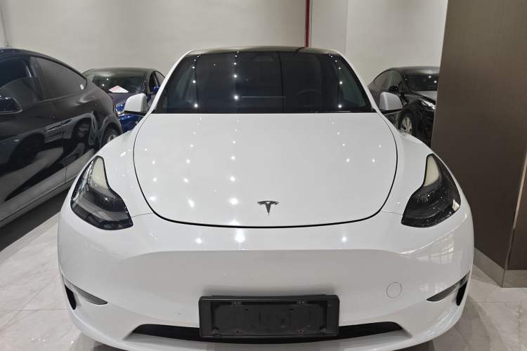 Used Tesla Model Y 2021 Standard Range Rear-Wheel Drive Version
