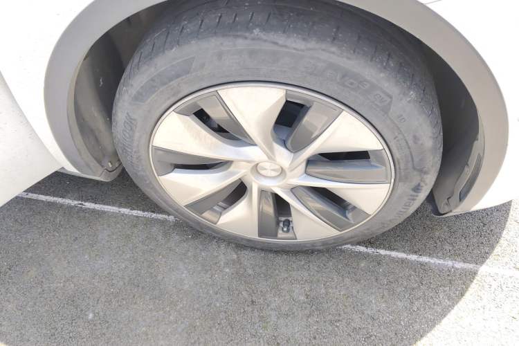 Used Tesla Model Y 2021 Long-Range All-Wheel-Drive Version