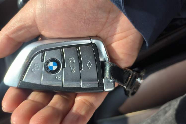 Used BMW 5 Series New Energy 2020 Mileage Upgrade Version 530Le Luxury Package
