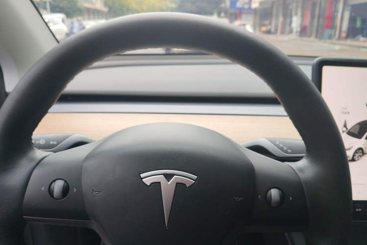 Used Tesla Model Y 2021 Standard Range Rear-Wheel Drive Version