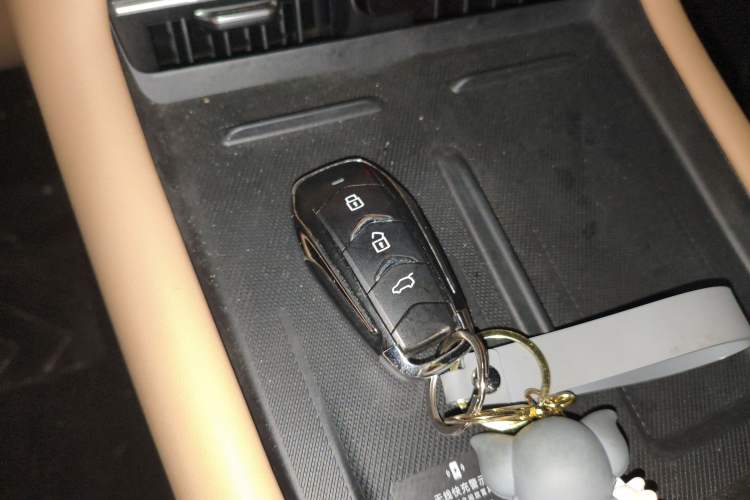 Used Landian E5 PLUS 2025 165 km Long-Range Version PLUS 7-Seater
