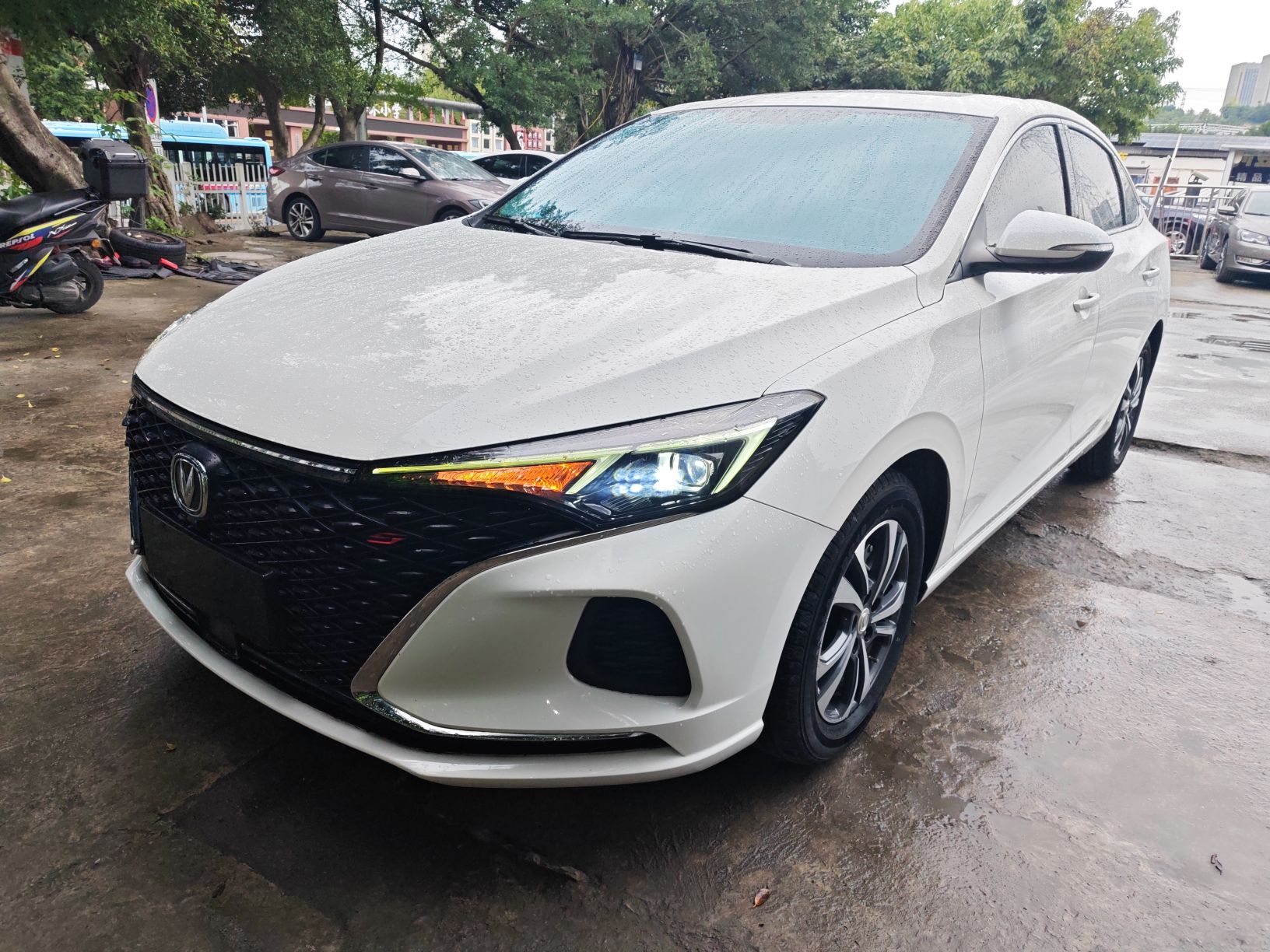 تحت مقدمة السيارة