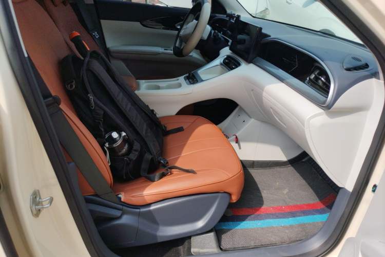 Used Geely Galaxy Geome 2025 310km Dream Edition Right Front Seat