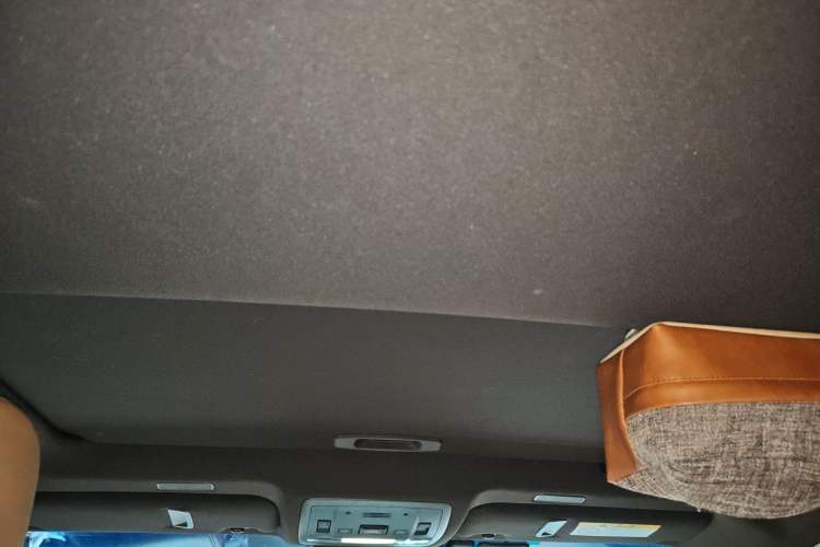 Used Lexus ES 2020 300h Premier Edition Headliner