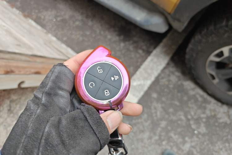 Used Great Wall Shanhai Poer 2023 3.0T V6 Gasoline Performance Edition Vehicle Key