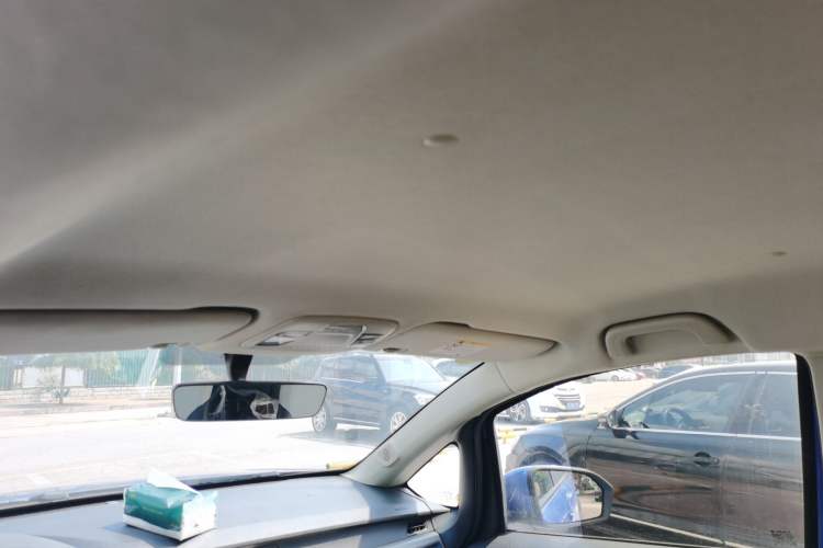 Used Livan Maple 30X 2020 Style Edition
