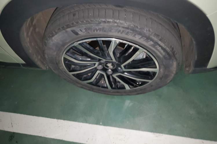 Used WM Motor W6 2021 520km PRO All-Round Edition
