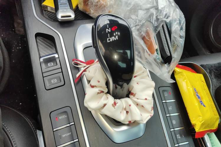 Used Wey VV5 2020 1.5T Two-Wheel Drive Smart Pioneer Gear Lever