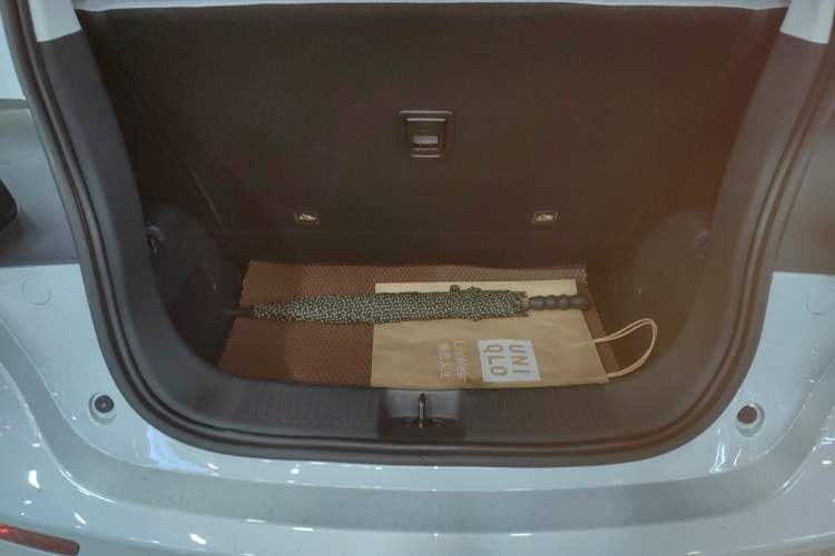 Used Leapmotor T03 2022 Hometown Jade Edition