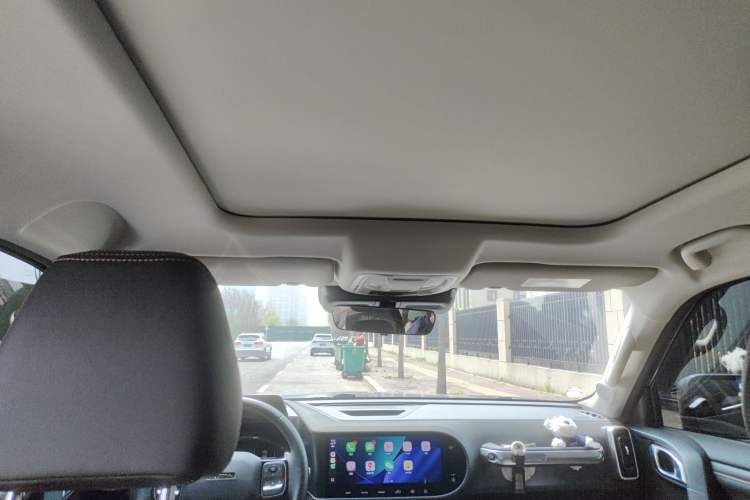 Used Haval DARGO 2024 2.0T DCT Chinese Rural Dog Edition