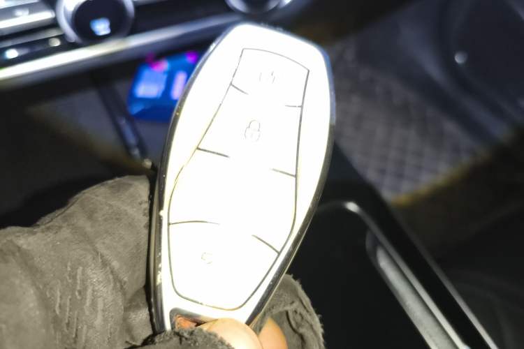 Used Hongqi HS5 2023 2.0T Qixiang Pro Edition