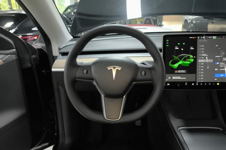 Used Tesla Model Y 2021 Standard Range Rear-Wheel Drive Version
