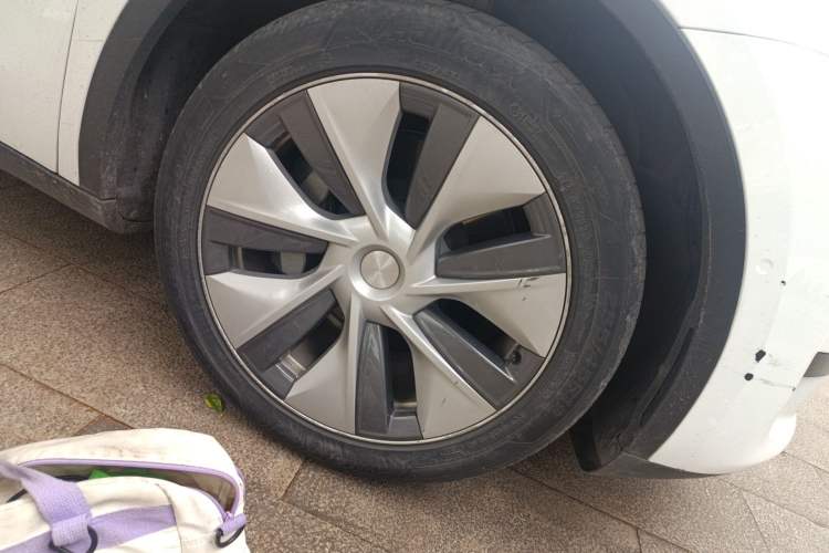 Used Tesla Model Y 2022 Rear-Wheel-Drive Version
