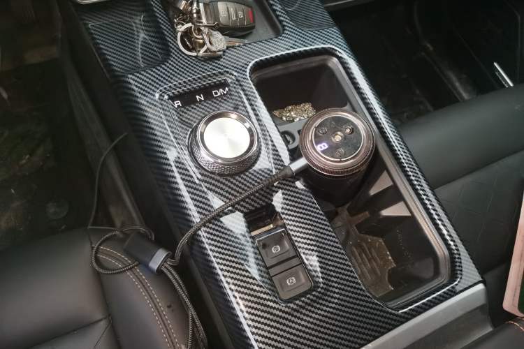 Used Haval DARGO 2024 2.0T DCT Chinese Rural Dog Edition
