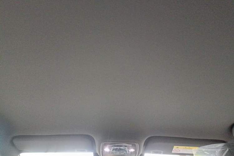 Used BYD Seagull 2025 Smart Drive Version 305 km Freedom Edition Headliner