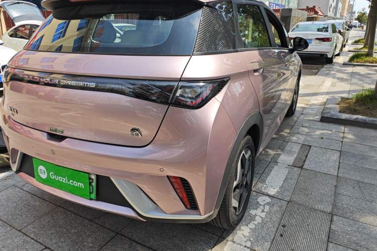 Used BYD Dolphin 2021 405 km Free Version