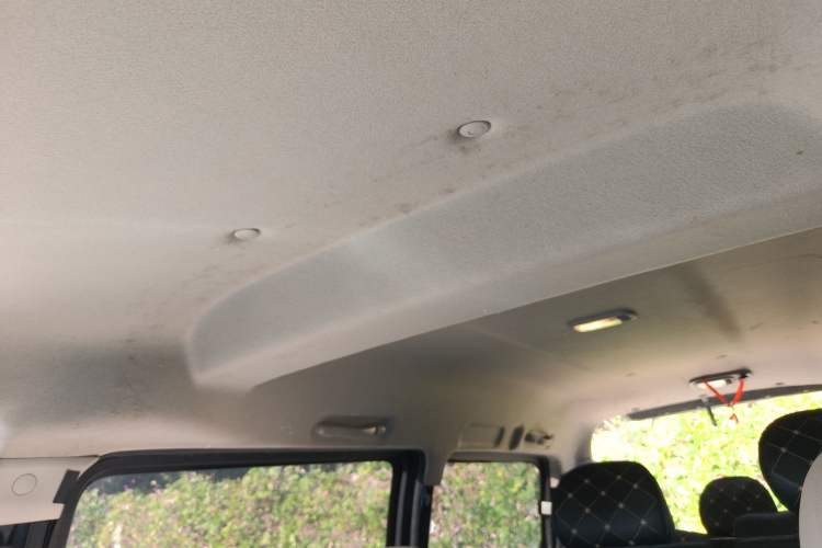 Used FORTHING Lingzhi 2021 M5L 2.0L Utility Model