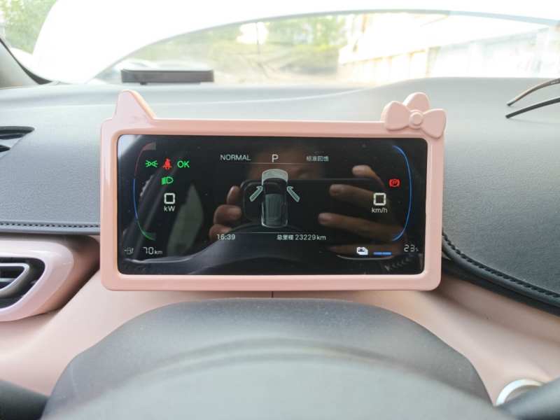 Used BYD Seagull 2024 Honor Edition 305km Freedom Version — 11