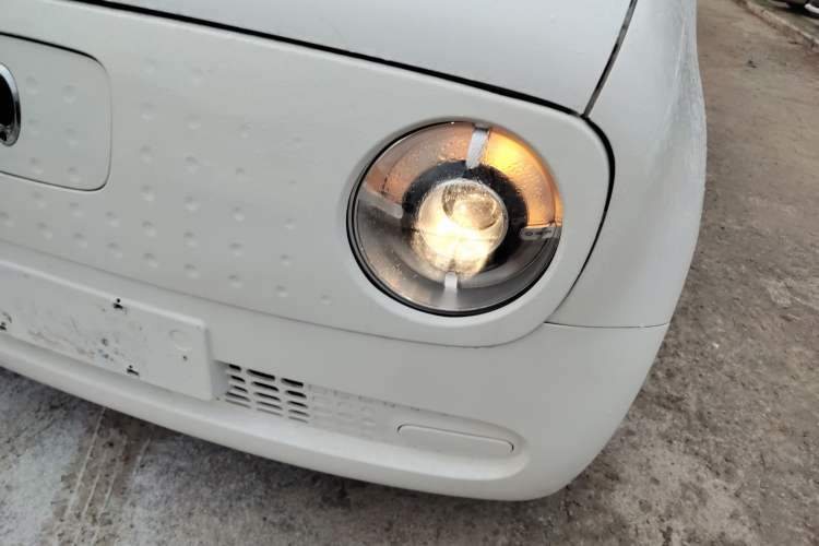 Used ORA Black Cat 2019 310km Fun Edition
