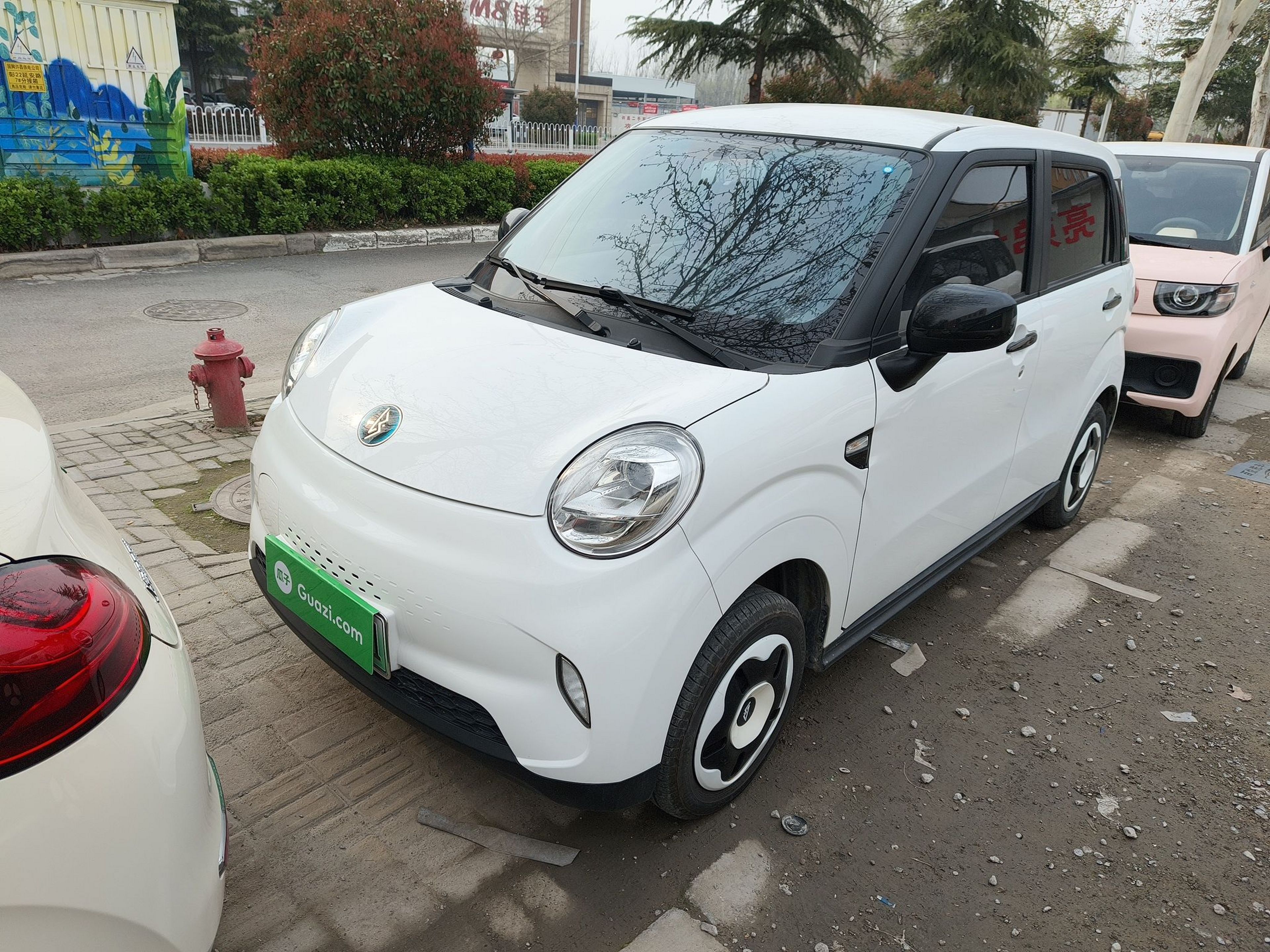 Parte inferior delantera